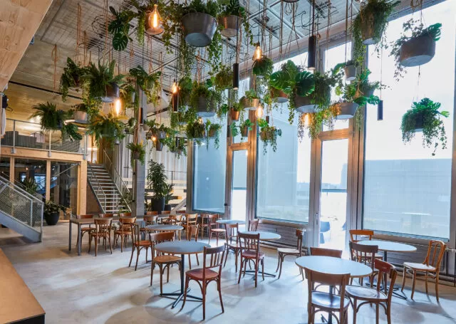 Stilvolles Café mit vielen hängenden Pflanzen und modernen Leuchten. Der Raum hat hohe Decken, grosse Fenster und Holzmöbel, die eine gemütliche und einladende Atmosphäre schaffen.